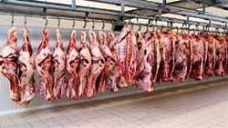 رصد گوشت تنظیم بازار در طرح شمیم مهر